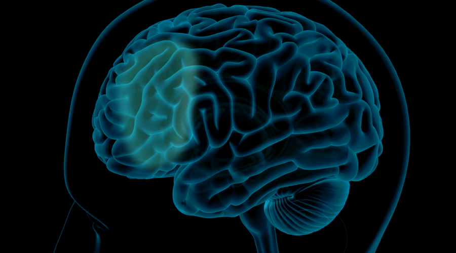 MagVenture’s Accelerator Training Program