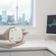 Choosing a Sleep Apnea Diagnostic Device in Canada: A Clinical Reference